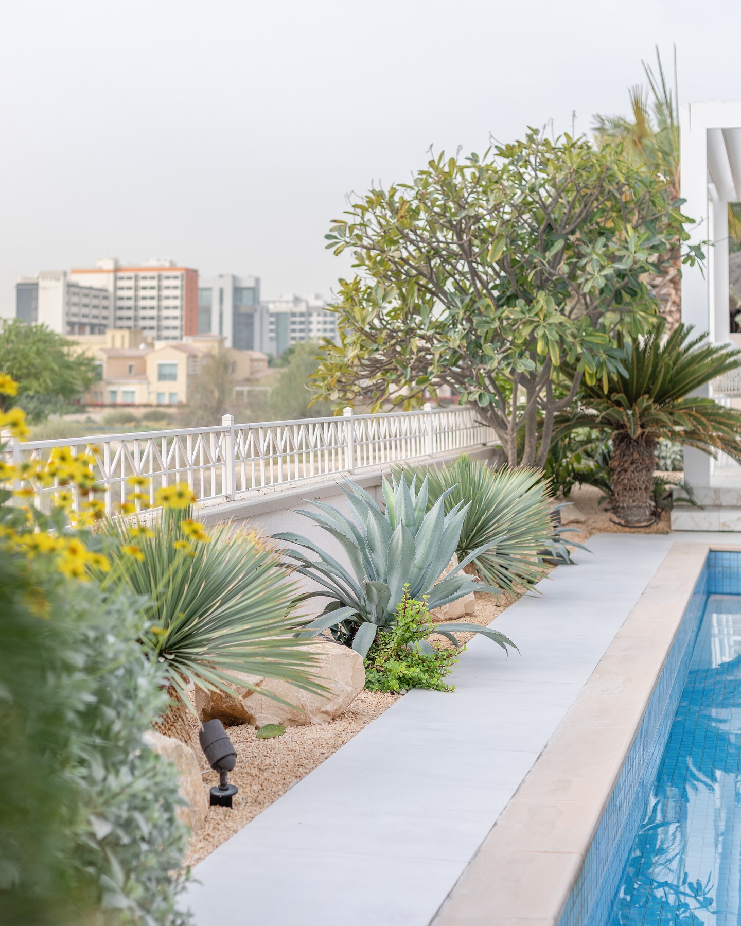 Clean minimalist pool design in Dubai villa